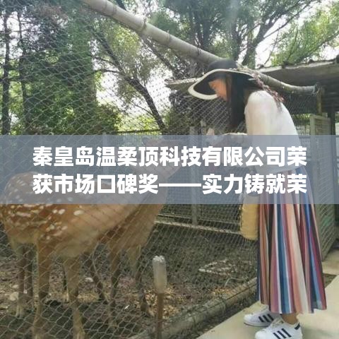 秦皇島溫柔頂科技榮獲市場(chǎng)口碑獎(jiǎng)，實(shí)力創(chuàng)新，引領(lǐng)未來(lái)