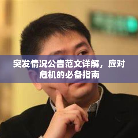 突發(fā)情況公告范文詳解，應對危機的必備指南