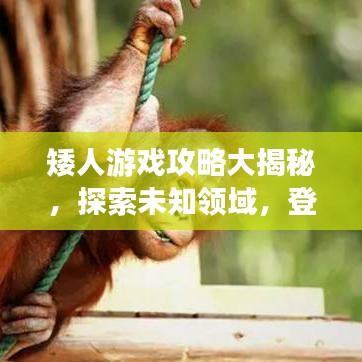 矮人游戲攻略大揭秘，探索未知領(lǐng)域，登頂頂尖玩家之路！
