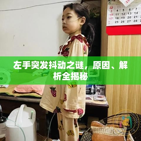 左手突發(fā)抖動(dòng)之謎，原因、解析全揭秘