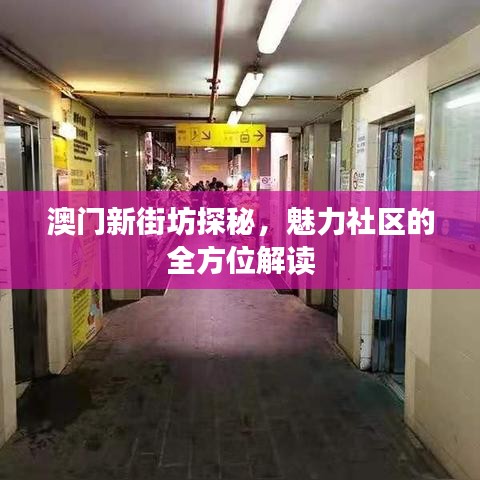 澳門新街坊探秘，魅力社區(qū)的全方位解讀