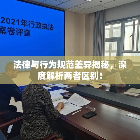 法律與行為規(guī)范差異揭秘，深度解析兩者區(qū)別！
