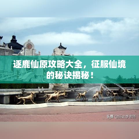 逐鹿仙原攻略大全，征服仙境的秘訣揭秘！
