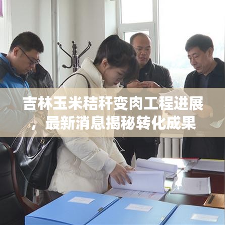 吉林玉米秸稈變?nèi)夤こ踢M(jìn)展，最新消息揭秘轉(zhuǎn)化成果