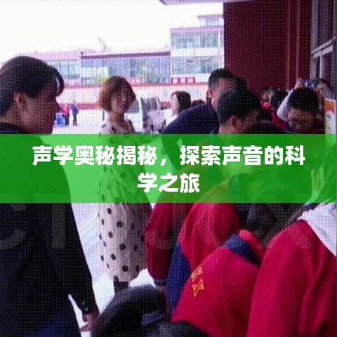 聲學(xué)奧秘揭秘，探索聲音的科學(xué)之旅