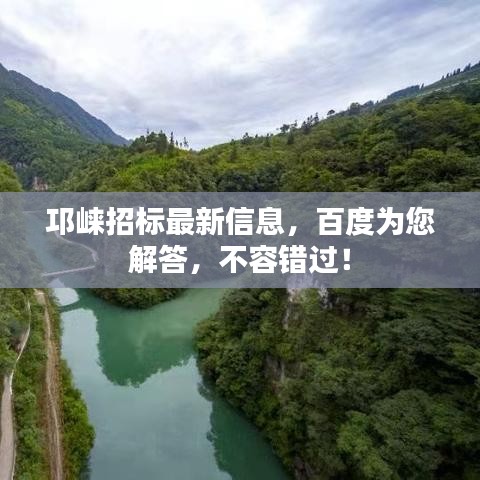 邛崍招標最新信息，百度為您解答，不容錯過！