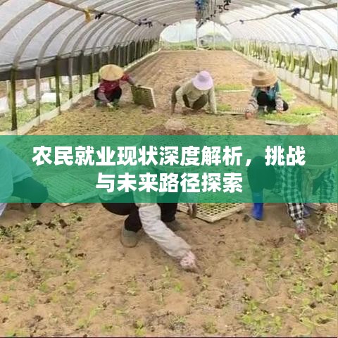 農(nóng)民就業(yè)現(xiàn)狀深度解析，挑戰(zhàn)與未來(lái)路徑探索