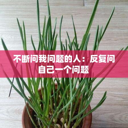 不斷問(wèn)我問(wèn)題的人：反復(fù)問(wèn)自己一個(gè)問(wèn)題 