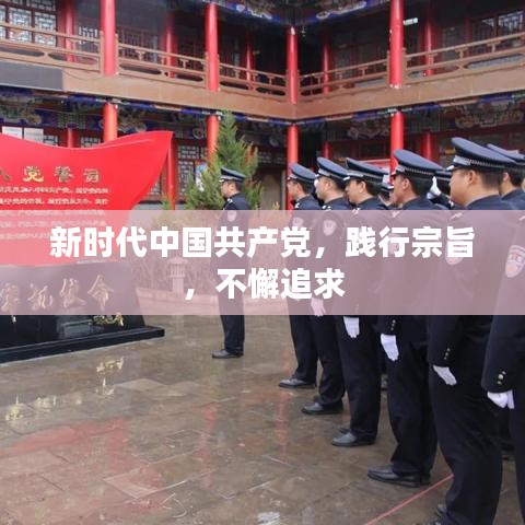 新時(shí)代中國共產(chǎn)黨，踐行宗旨，不懈追求