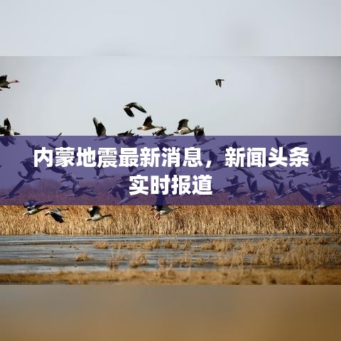 內(nèi)蒙地震最新消息，新聞?lì)^條實(shí)時(shí)報(bào)道