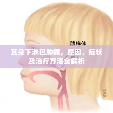 耳朵下淋巴腫痛，原因、癥狀及治療方法全解析