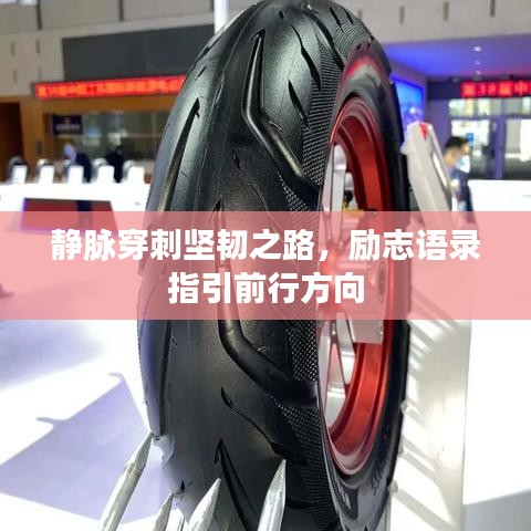 成功案例 第104頁