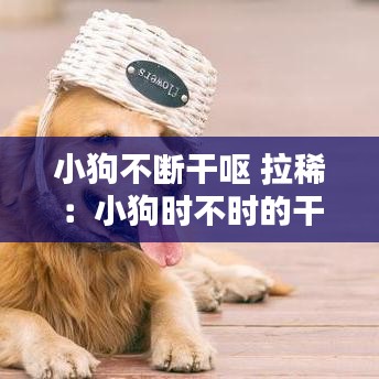 小狗不斷干嘔 拉?。盒」窌r不時的干嘔但吃喝拉撒正常 