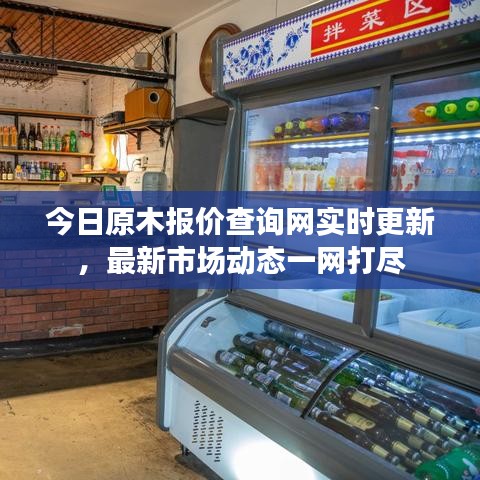 今日原木報價查詢網(wǎng)實(shí)時更新，最新市場動態(tài)一網(wǎng)打盡