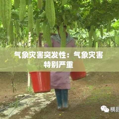 氣象災害突發(fā)性：氣象災害 特別嚴重 