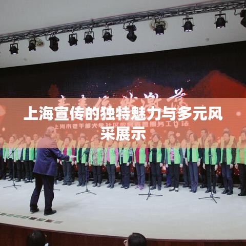 上海宣傳的獨特魅力與多元風(fēng)采展示