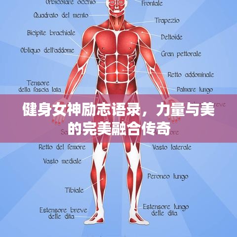健身女神勵(lì)志語(yǔ)錄，力量與美的完美融合傳奇