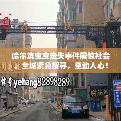 哈爾濱寶寶走失事件震驚社會(huì)，全城緊急搜尋，牽動(dòng)人心！
