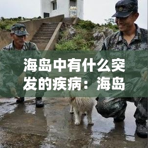 海島中有什么突發(fā)的疾?。汉u現(xiàn)狀 