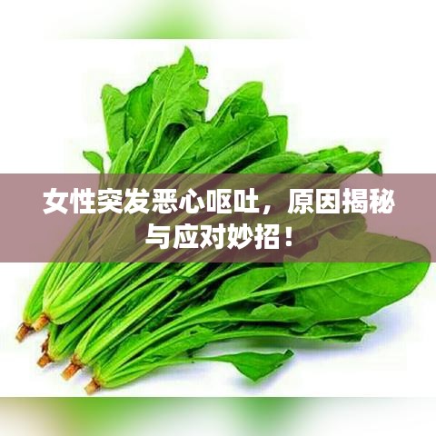女性突發(fā)惡心嘔吐，原因揭秘與應對妙招！