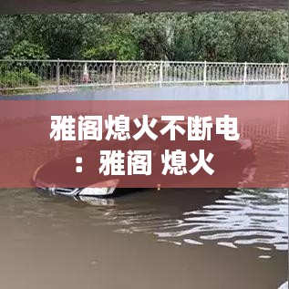 雅人深致 第3頁(yè)