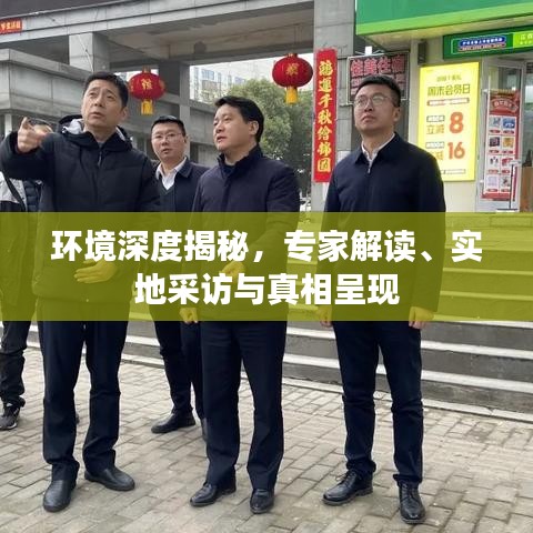 環(huán)境深度揭秘，專家解讀、實地采訪與真相呈現(xiàn)