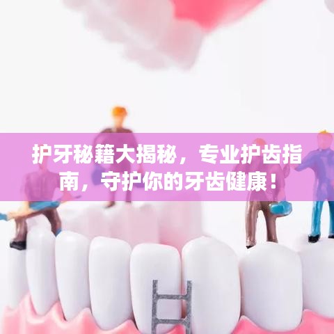護(hù)牙秘籍大揭秘，專(zhuān)業(yè)護(hù)齒指南，守護(hù)你的牙齒健康！