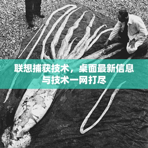 聯(lián)想捕獲技術(shù)，桌面最新信息與技術(shù)一網(wǎng)打盡