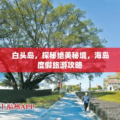 白頭島，探秘絕美秘境，海島度假旅游攻略