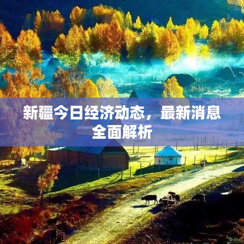 新疆今日經(jīng)濟(jì)動(dòng)態(tài)，最新消息全面解析