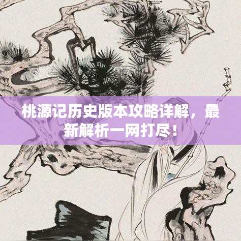 桃源記歷史版本攻略詳解，最新解析一網(wǎng)打盡！