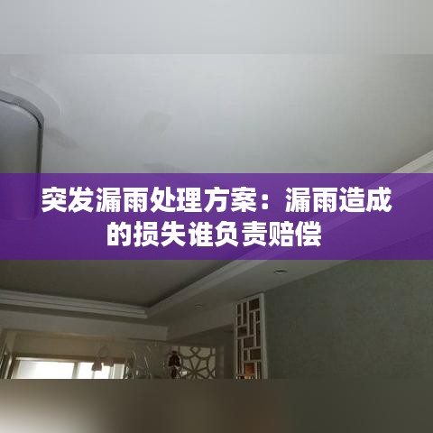 突發(fā)漏雨處理方案：漏雨造成的損失誰(shuí)負(fù)責(zé)賠償 