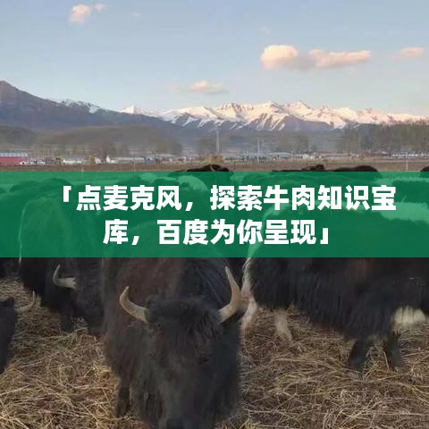 「點麥克風，探索牛肉知識寶庫，百度為你呈現(xiàn)」