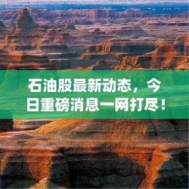 石油股最新動態(tài)，今日重磅消息一網(wǎng)打盡！