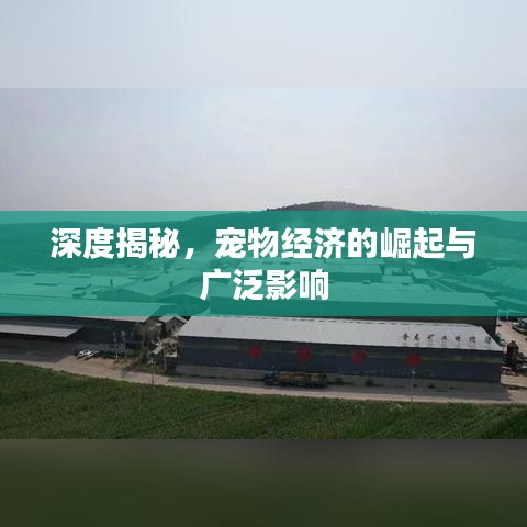 深度揭秘，寵物經(jīng)濟(jì)的崛起與廣泛影響