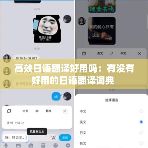 高效日語(yǔ)翻譯好用嗎：有沒(méi)有好用的日語(yǔ)翻譯詞典 