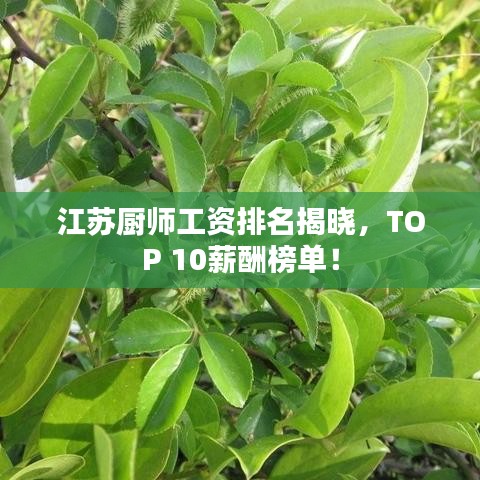 慌慌張張 第3頁(yè)