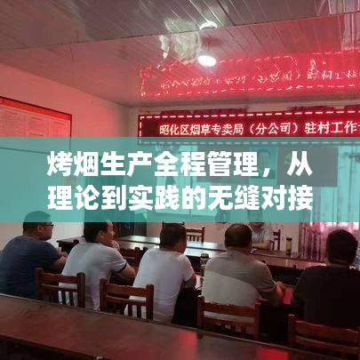烤煙生產(chǎn)全程管理，從理論到實(shí)踐的無縫對接
