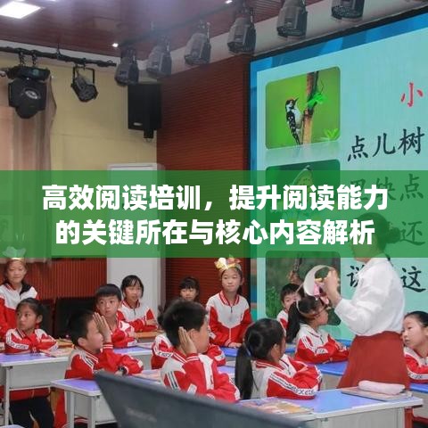 高效閱讀培訓，提升閱讀能力的關(guān)鍵所在與核心內(nèi)容解析