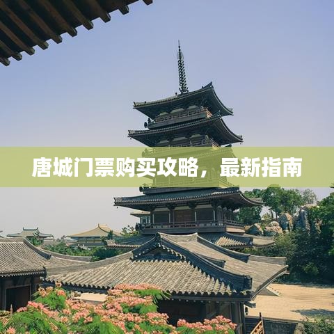唐城門(mén)票購(gòu)買(mǎi)攻略，最新指南