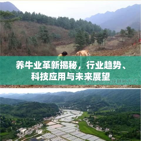 養(yǎng)牛業(yè)革新揭秘，行業(yè)趨勢、科技應用與未來展望