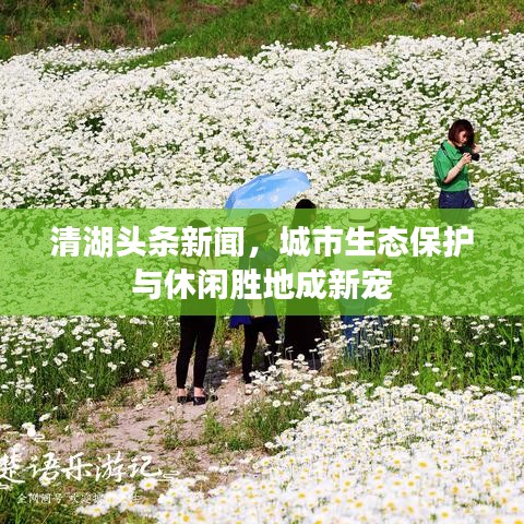 清湖頭條新聞，城市生態(tài)保護與休閑勝地成新寵