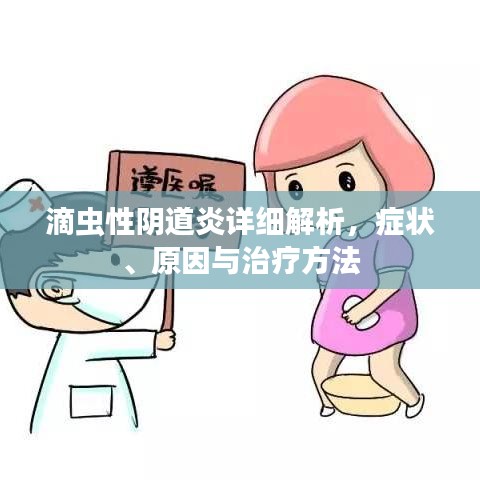 滴蟲性陰道炎詳細(xì)解析，癥狀、原因與治療方法