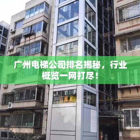 廣州電梯公司排名揭秘，行業(yè)概覽一網(wǎng)打盡！