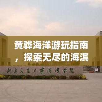 黃驊海洋游玩指南，探索無盡的海濱魅力！