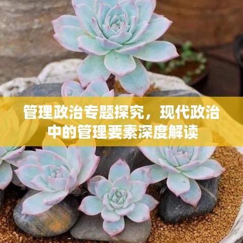 管理政治專題探究，現(xiàn)代政治中的管理要素深度解讀