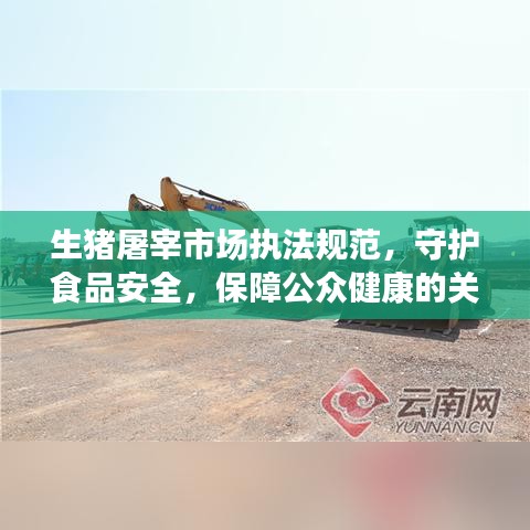 生豬屠宰市場執(zhí)法規(guī)范，守護(hù)食品安全，保障公眾健康的關(guān)鍵環(huán)節(jié)