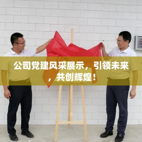 公司黨建風(fēng)采展示，引領(lǐng)未來，共創(chuàng)輝煌！