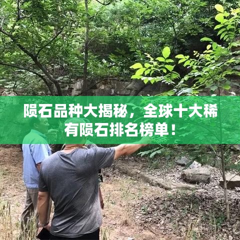 隕石品種大揭秘，全球十大稀有隕石排名榜單！