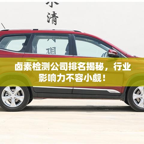 鹵素檢測(cè)公司排名揭秘，行業(yè)影響力不容小覷！
